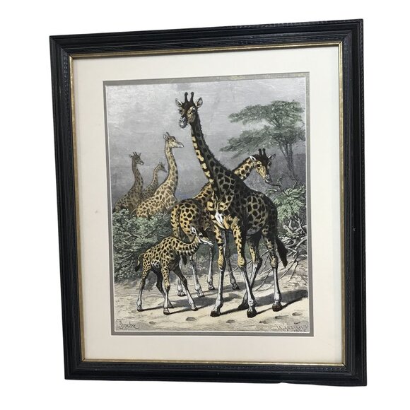 VTG Friedrich Specht "Giraffe" Late 19th Century Woodcut Art Jungle Multi-color - Picture 3 of 12